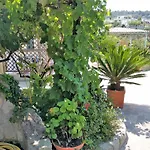Giardino Del Sole Форио