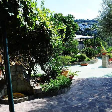 Aparthotel Giardino Del Sole Forio (Isola d'Ischia)
