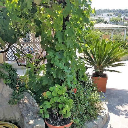 Giardino Del Sole Forio di Ischia