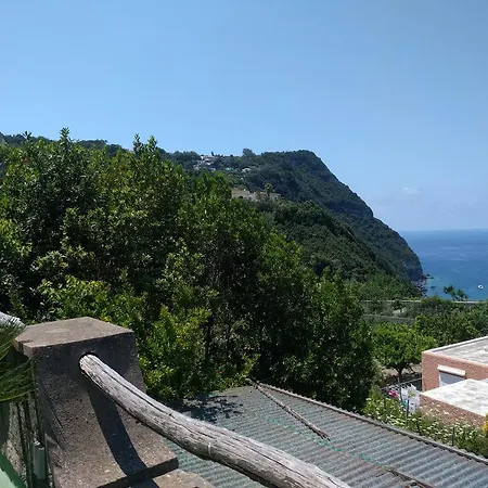 מלון דירות Giardino Del Sole Forio di Ischia